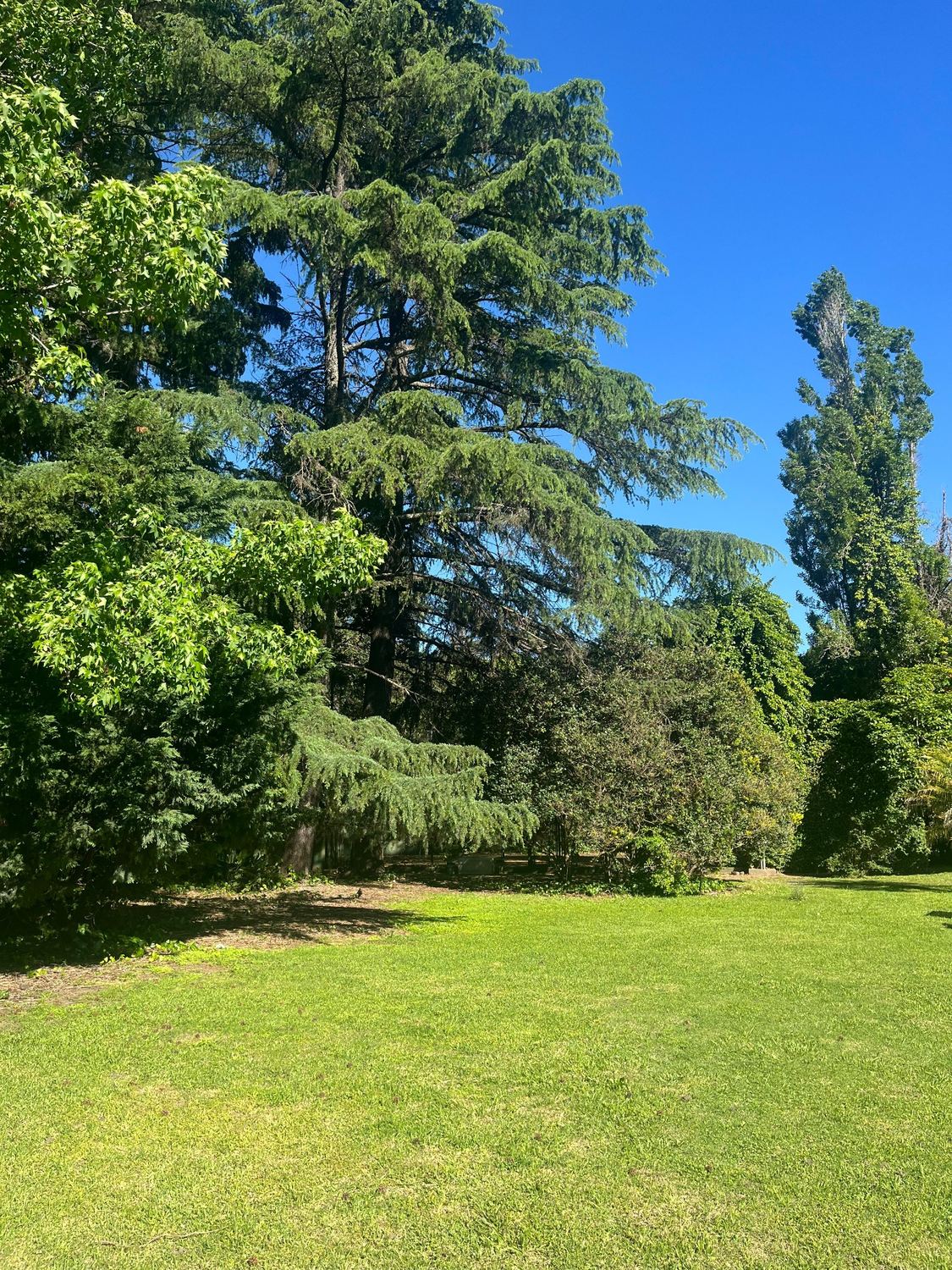 Parque jardín del proyecto Beccar